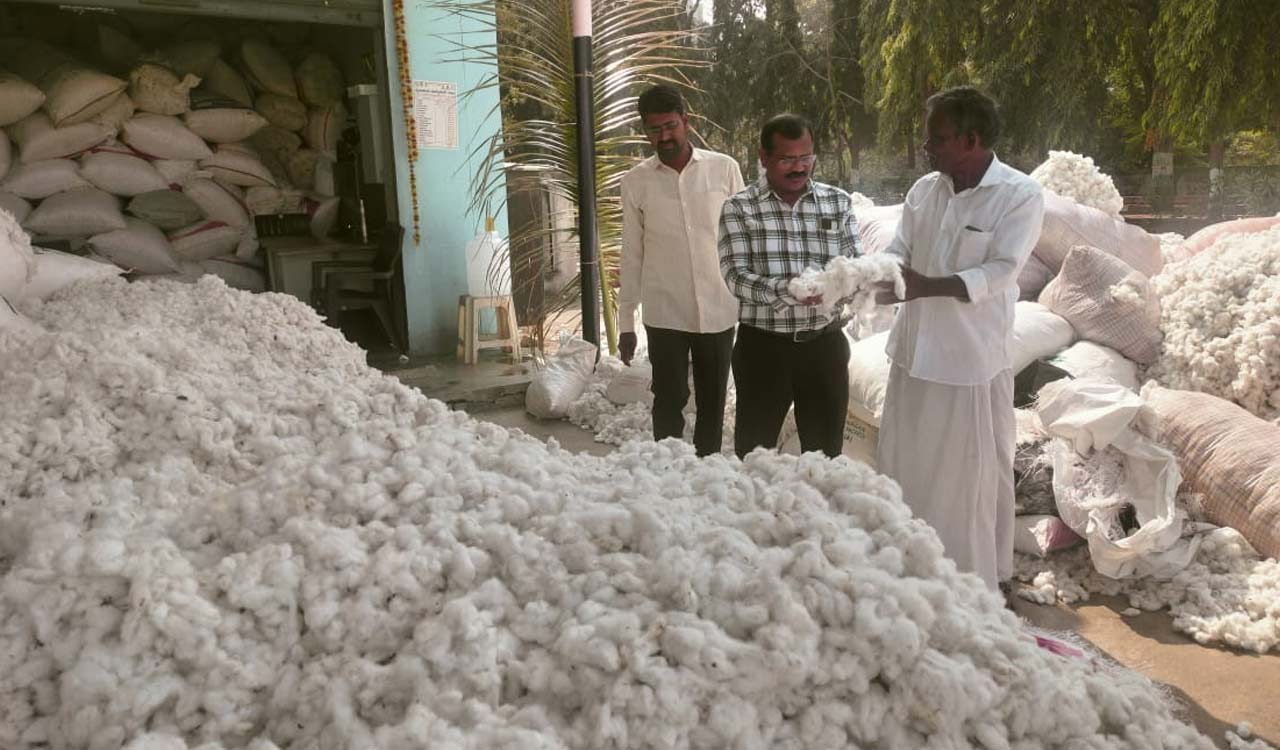 Cotton farmers across erstwhile Medak worried as they are denied MSP
