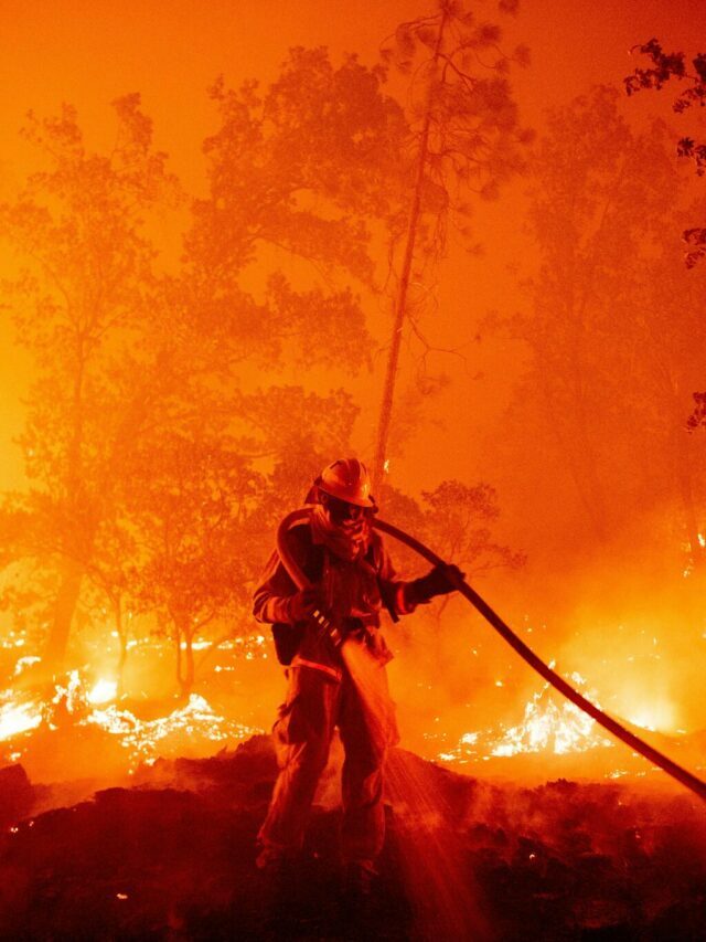 Wildfire in california 2024