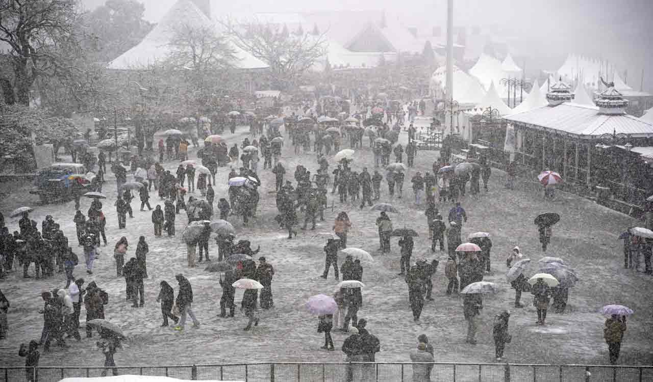 Snowfall in Shimla cheers locals, tourists