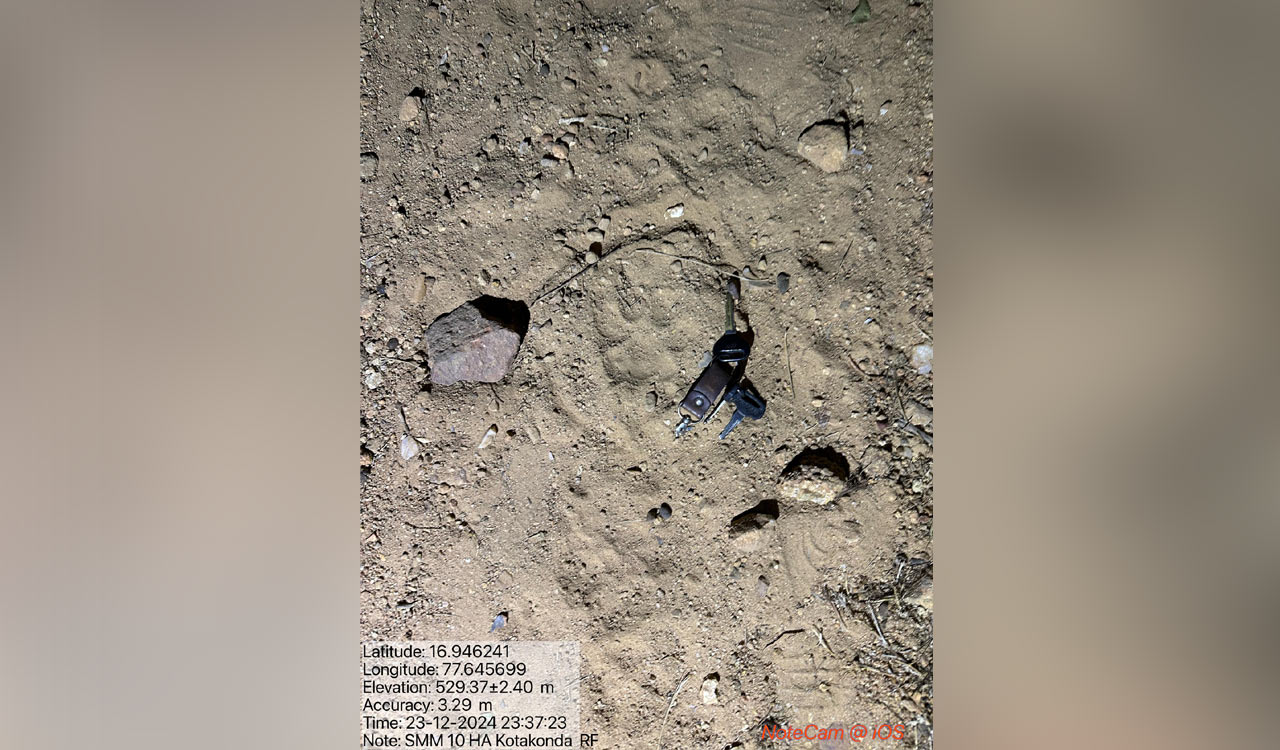 Leopard spotted and panic prevailing in Nandipahad village under Maddur mandal